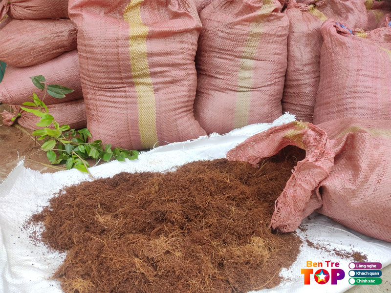 Co-so-hue-cuoc-xuan-binh-bentretoplist