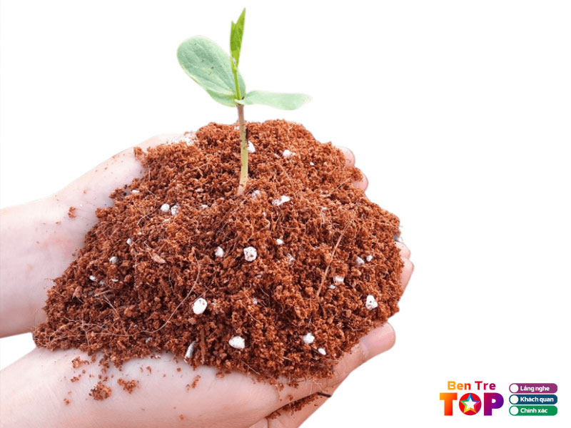 Cong-ty-tnhh-bioco-agriculture-bentretoplist