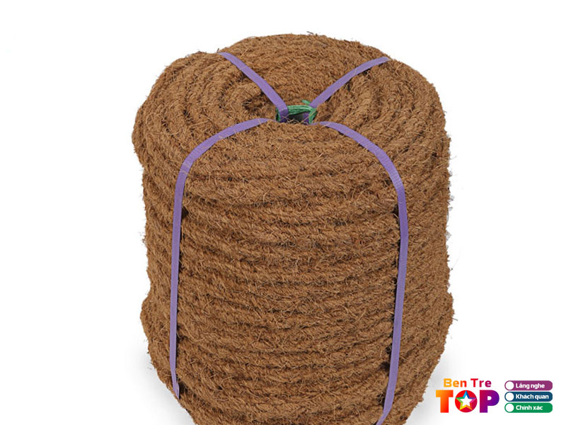 Cong-ty-tnhh-dua-dong-duong-bentretoplist