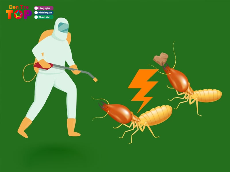 Diet-con-trung-tran-dang-bentretoplist