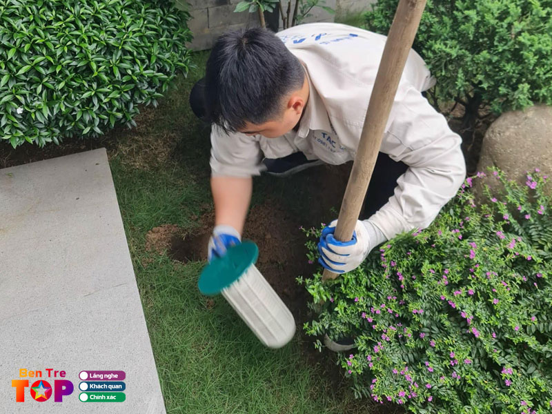 Diet-moi-tran-anh-bentretoplist