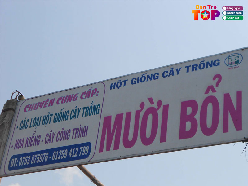 Hat-giong-cay-trong-muoi-bon-ut-khiem-cai-mon-bentretoplist