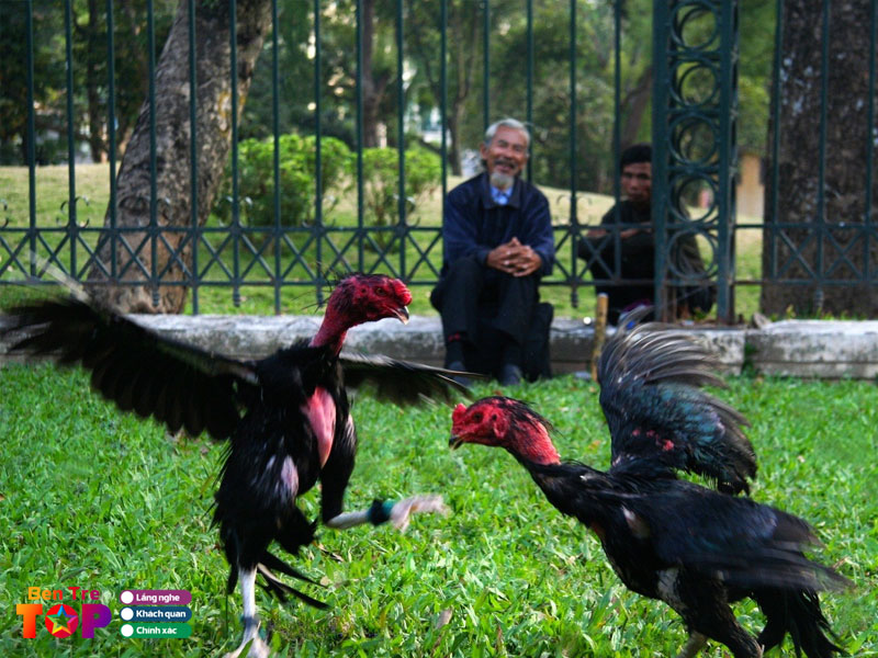 Len-ban-ga-da-bentretoplist