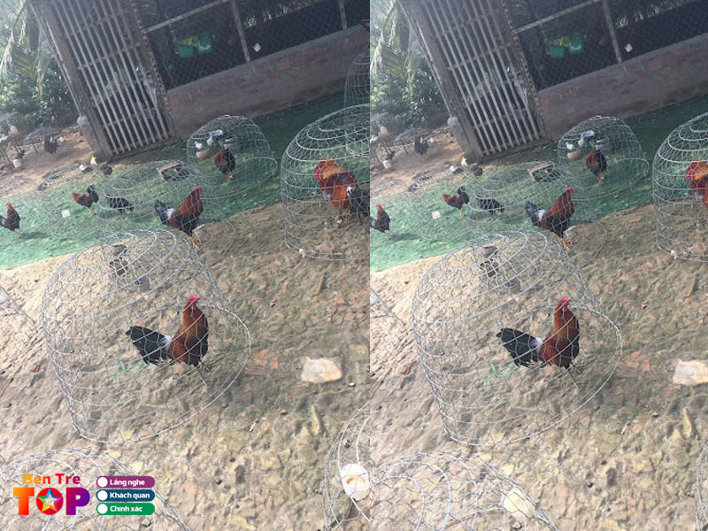 Trai-ga-da-thong-le-bentretoplist