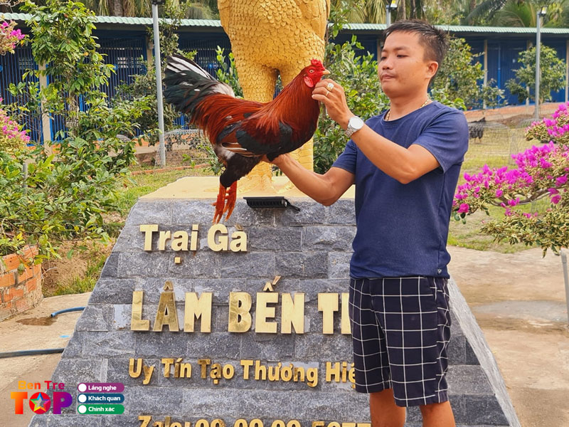 Trai-ga-lam-ben-tre-bentretoplist