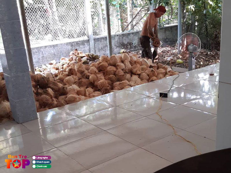 Vua-dua-5-thien-bentretoplist