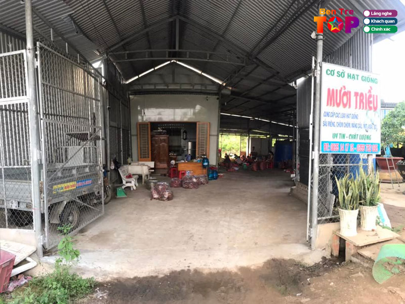 Vua-hat-giong-cay-trong-muoi-trieu-bentretoplist