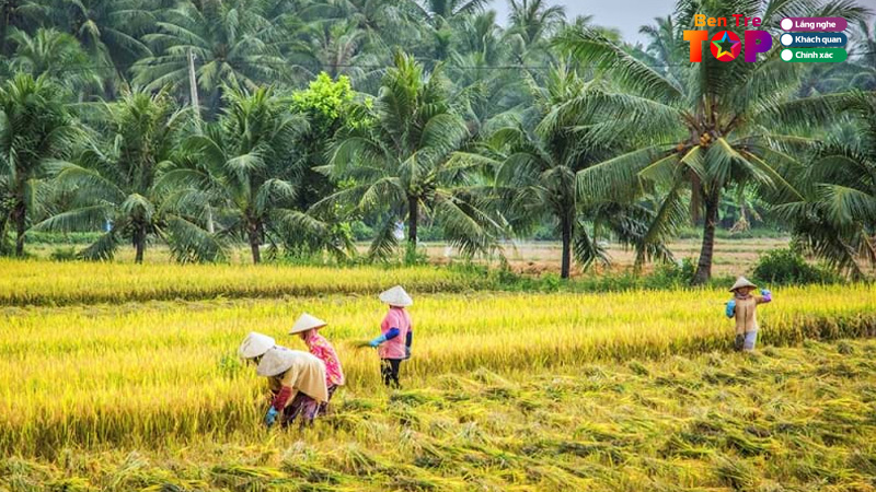 Top-5-lang-nghe-ben-tre-luu-giu-ban-sac-van-hoa-viet-nam