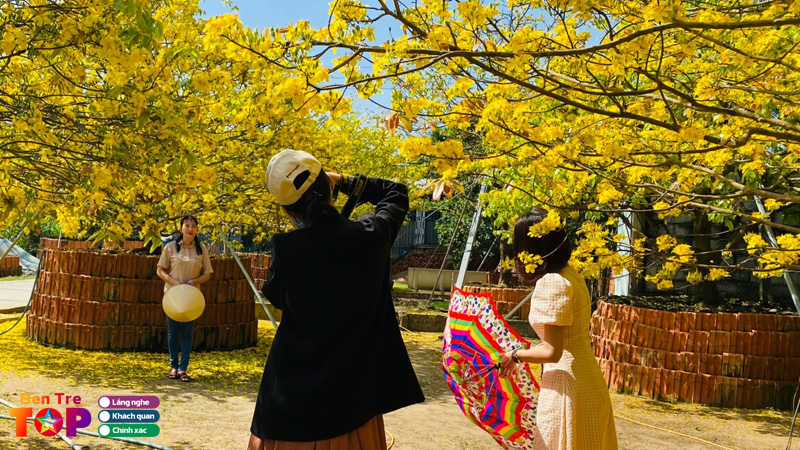 Top-7-dia-diem-ngam-vuon-mai-vang-ben-tre-dep-lung-linh