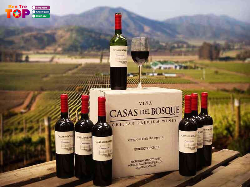 Dia-chi-cung-cap-ruou-vang-chile-uy-tin-bentretoplist