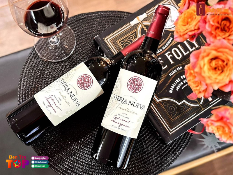 Gioi-thieu-ve-ruou-vang-do-chile-bentretoplist