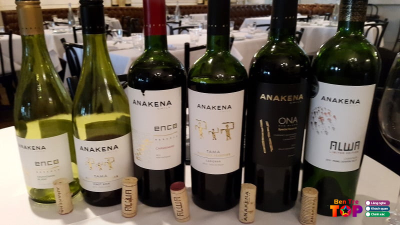 Vang-chile-anakena-tama-vineyard-selection-bentretoplist