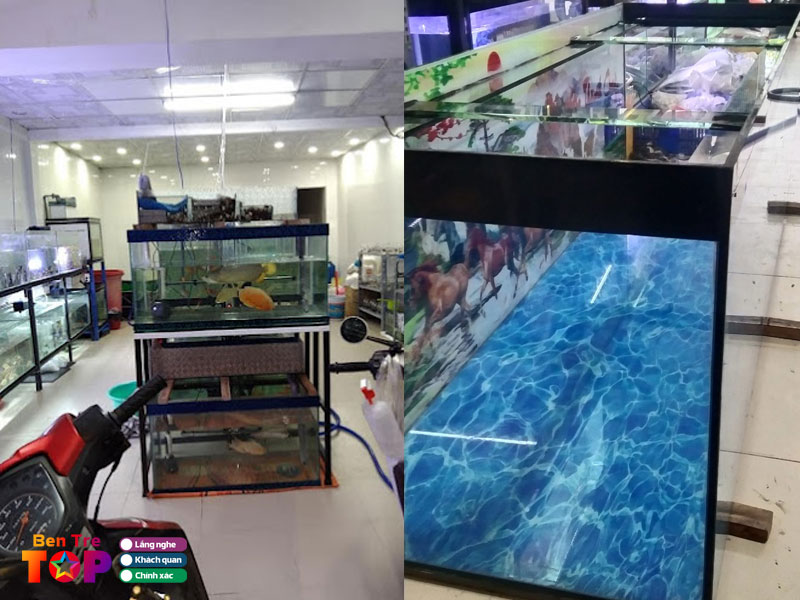 Ca-canh-bao-long-bentretoplist