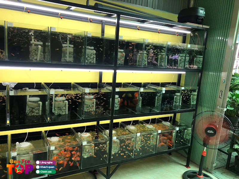 Ca-canh-di-lam-bentretoplist