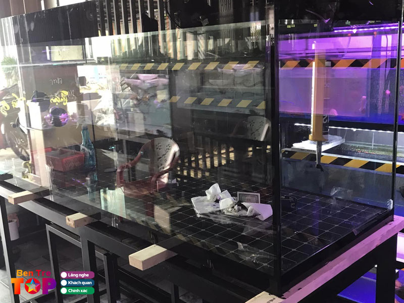 Ca-canh-giao-long-bentretoplist