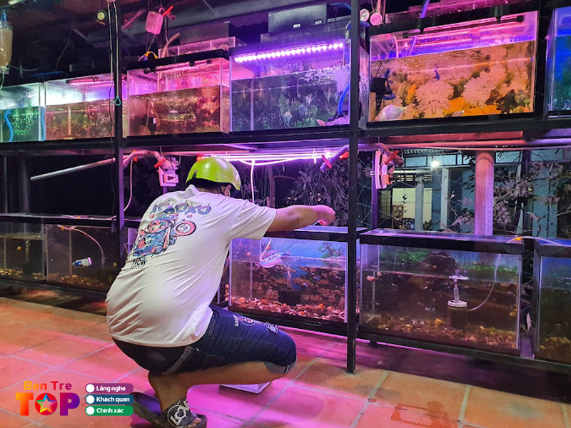 Ca-canh-khang-huy-bentretoplist