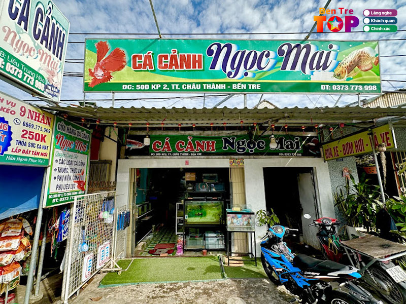 Ca-canh-ngoc-mai-bentretoplist