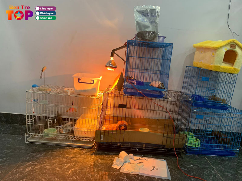 Phong-kham-thu-y-pet-care-bentretoplist