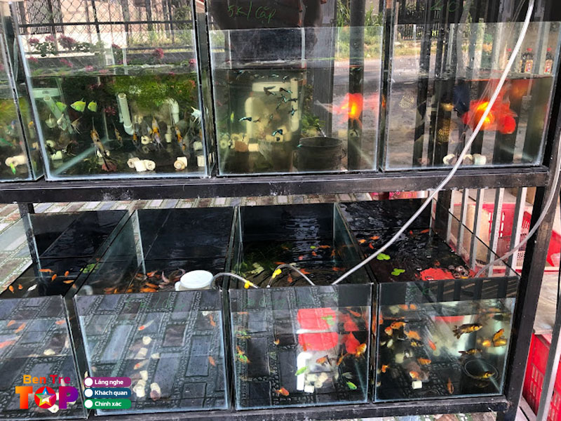 Tiem-ca-canh-bentretoplist