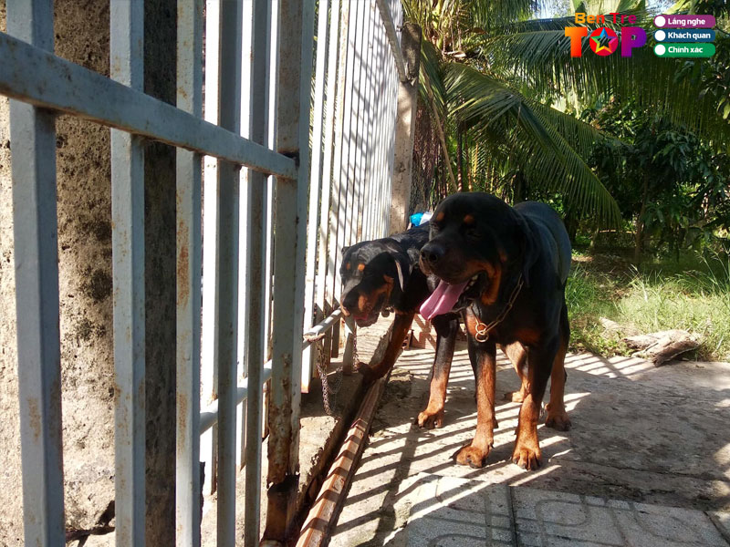 Trai-cho-thien-phuc-bentretoplist