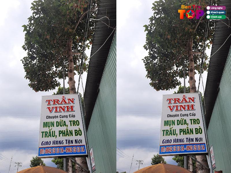 Co-so-dua-tran-vinh-bentretoplist