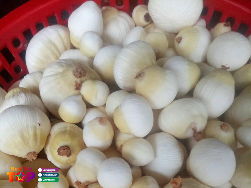 Cong-ty-2-you-bentretoplist