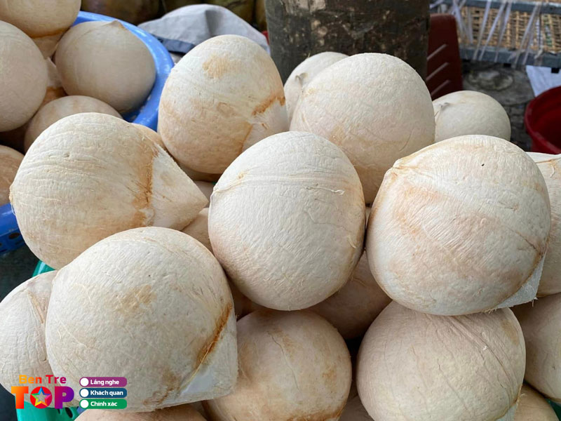 Dua-troc-ben-tre-bentretoplist