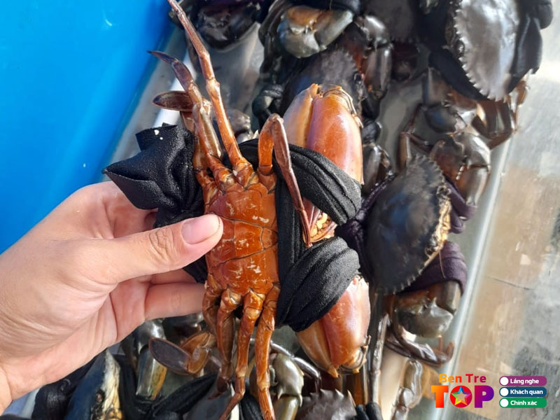 Vua-hai-san-tuyet-nhu-bentretoplist