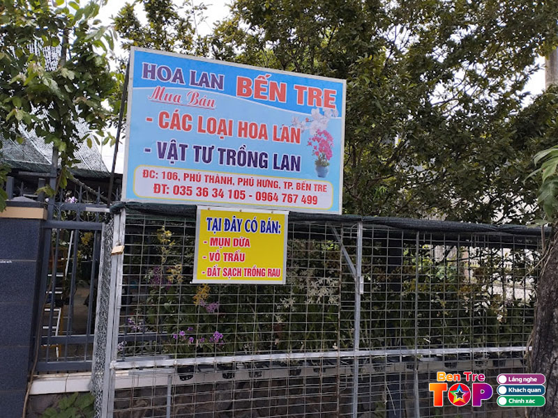 Hoa-lan-ben-tre-bentretoplist
