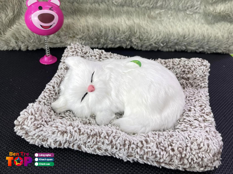 Shop-qua-tang-sunsu-bentretoplist