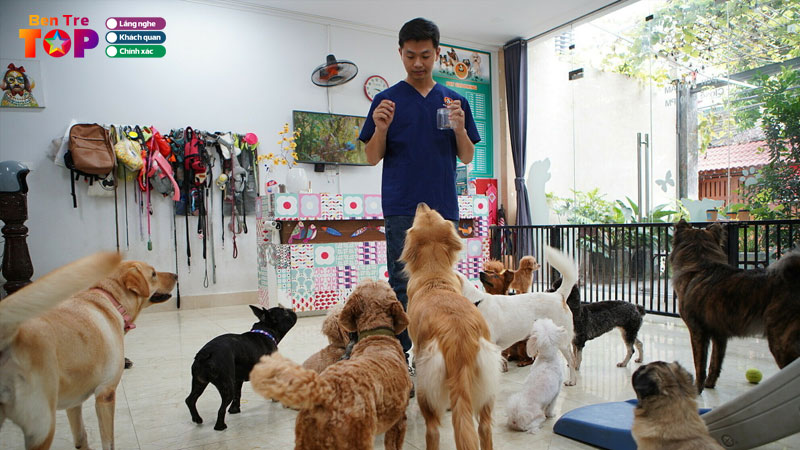 Top-5-dich-vu-trong-giu-thu-cung-o-ben-tre-dang-tin-cay-bentretoplist