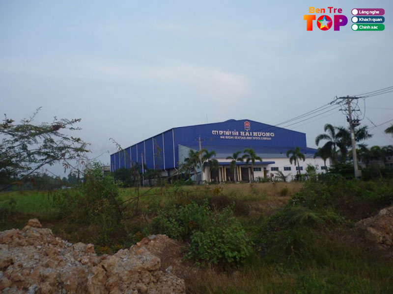 Cong-ty-co-phan-thuy-san-hai-huong-bentretoplist