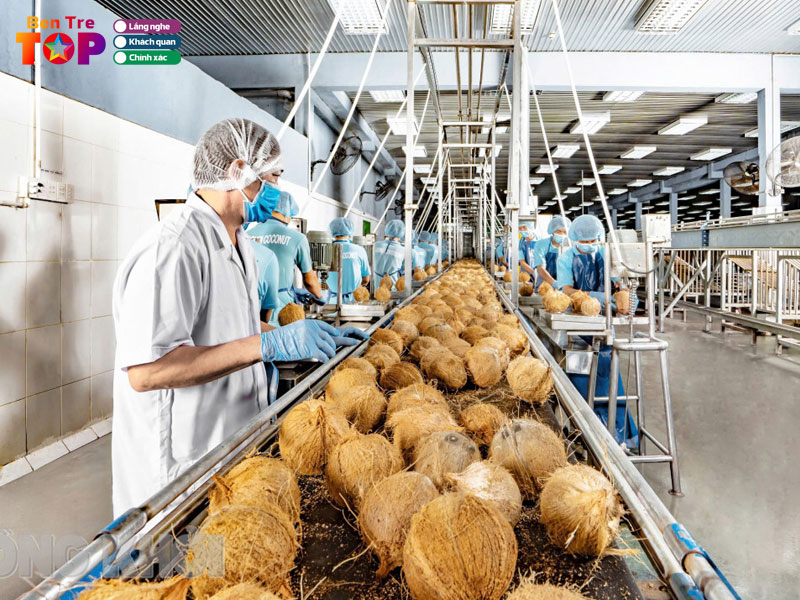 Cong-ty-tnhh-che-bien-dua-bentretoplist