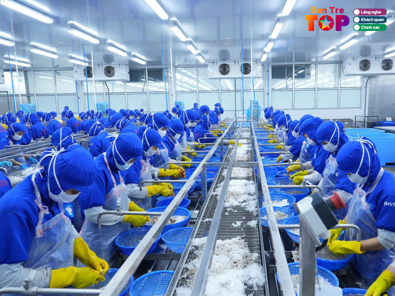 Cong-ty-tnhh-xnk-thuy-san-hoa-sen-bentretoplist