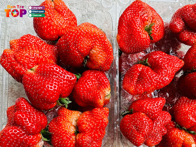 Go-ben-tre-bentretoplist