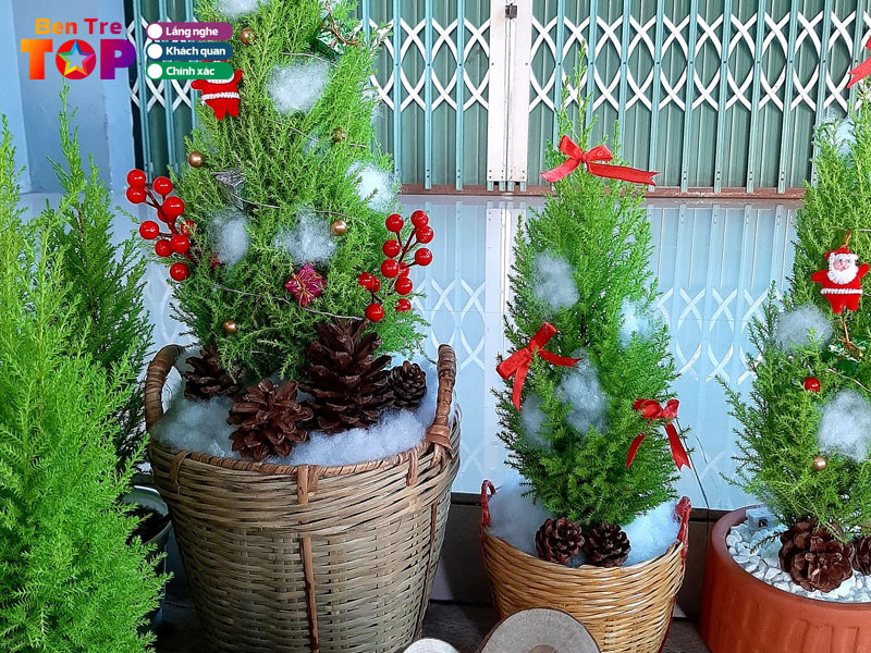 Hoa-kieng-ben-tre-bentretoplist