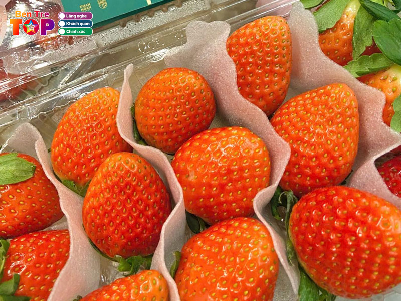 Phan-ngan-gourmet-bentretoplist