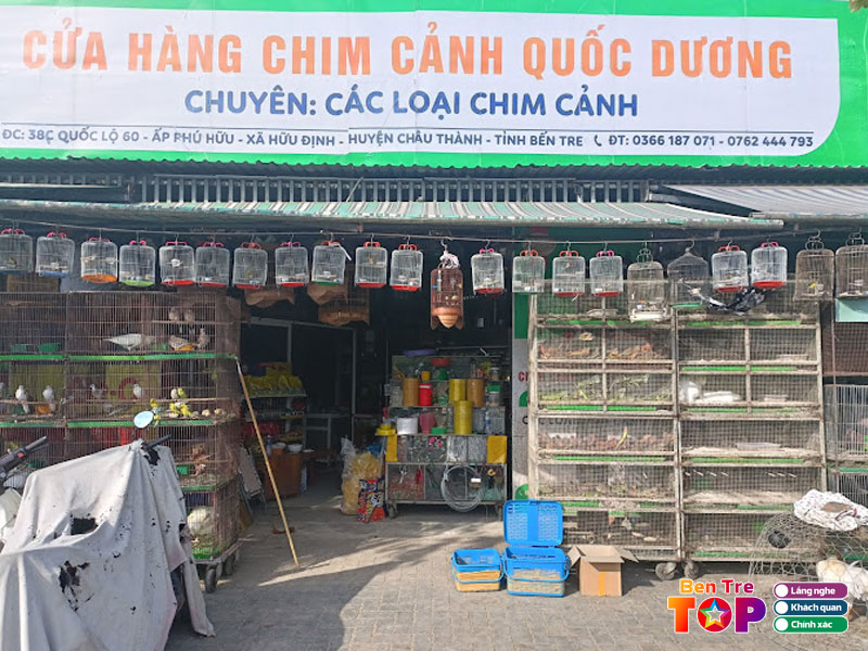 Tiem-chim-canh-quoc-duong-bentretoplist