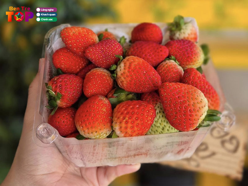 Trai-cay-ngan-vu-bentretoplist