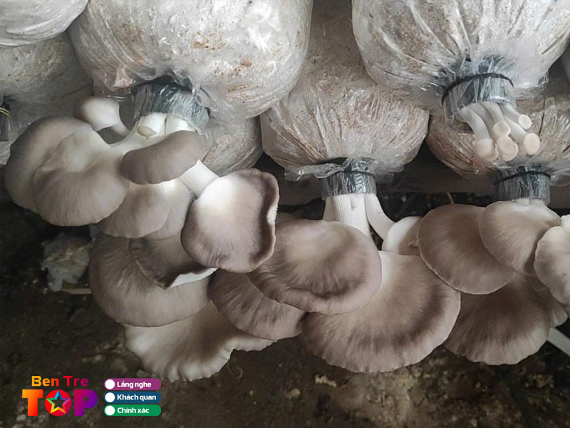 Trai-nam-quang-tuan-bentretoplist