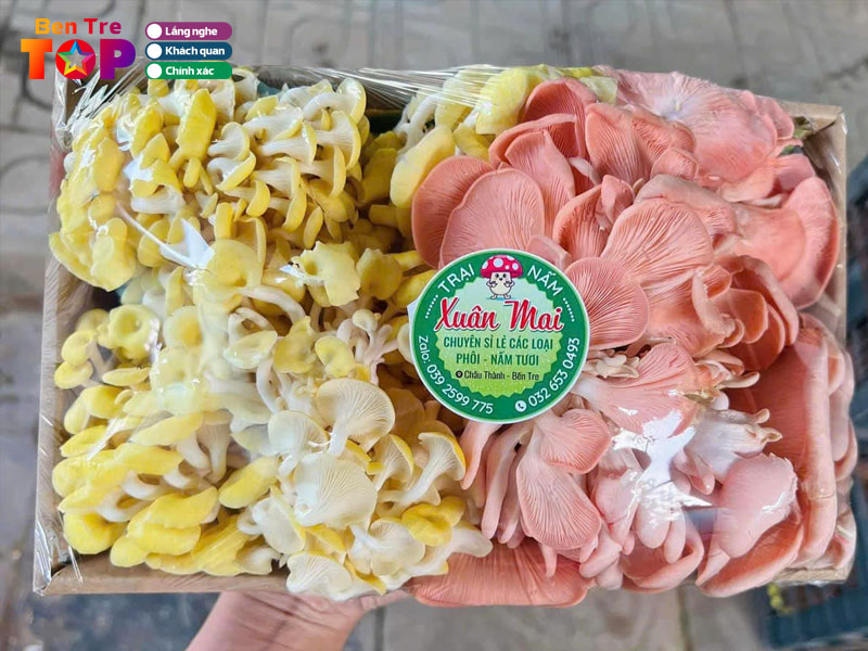 Trai-nam-xuan-mai-bentretoplist