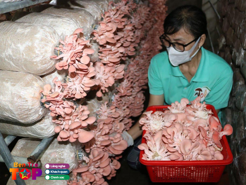 Trang-trai-nam-pham-le-nguyen-bentretoplist