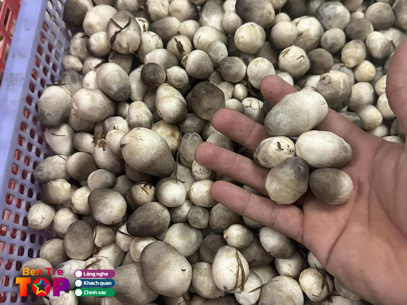 Trang-trai-nam-rom-nhan-an-bentretoplist