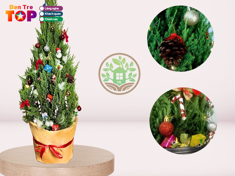 Vua-cay-giong-huyen-linh-bentretoplist