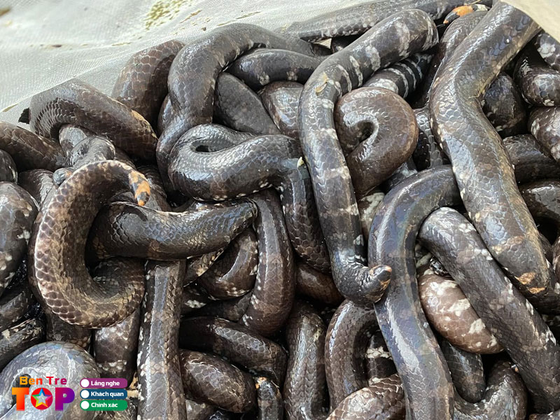 An-le-do-dong-bentretoplist