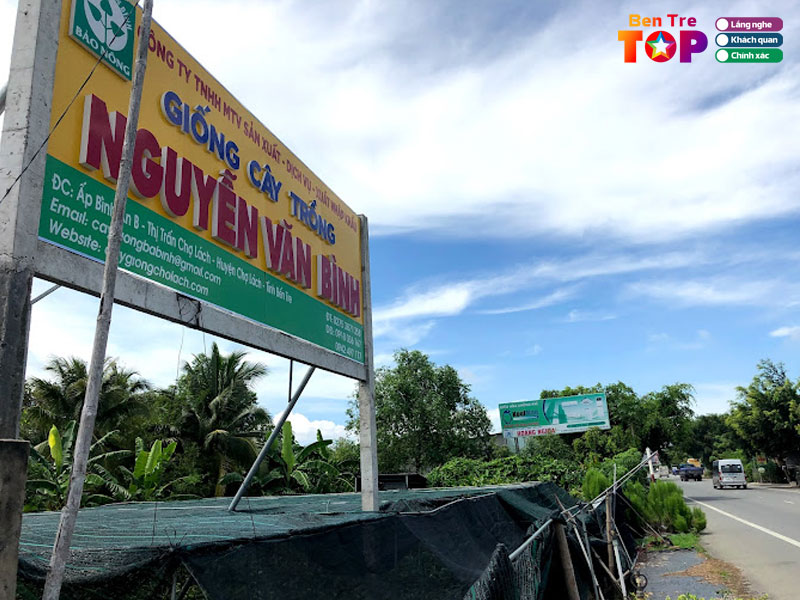 Cay-giong-nguyen-van-binh-bentretoplist