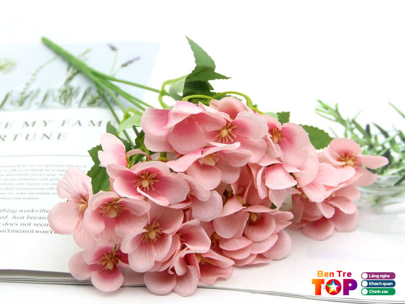 Hoa-giay-lua-vai-bentretoplist