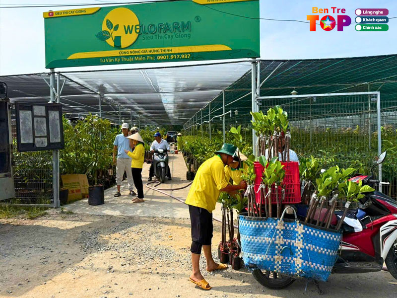 Sieu-thi-cay-giong-welofarm-bentretoplist