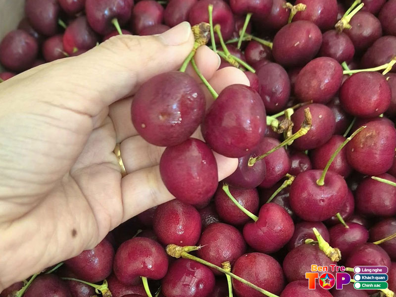 Trai-cay-ngan-vu-bentretoplist