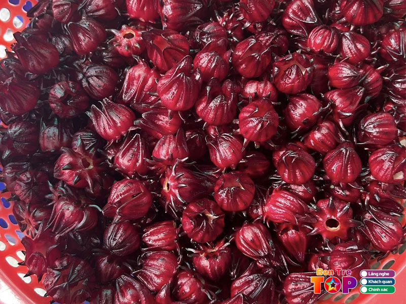 Vo-my-quoi-bentretoplist